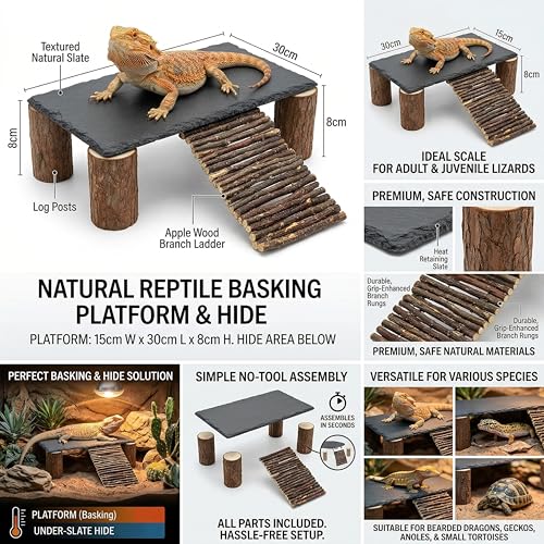 Bearded Dragon Basking Platform Natural Slate Rock with Wood Log Legs & Branch Ramp, Reptile Hide Basking Spot Tank Decor, Suitable for Leopard Gecko, Tortoise, Ball Python Small Black