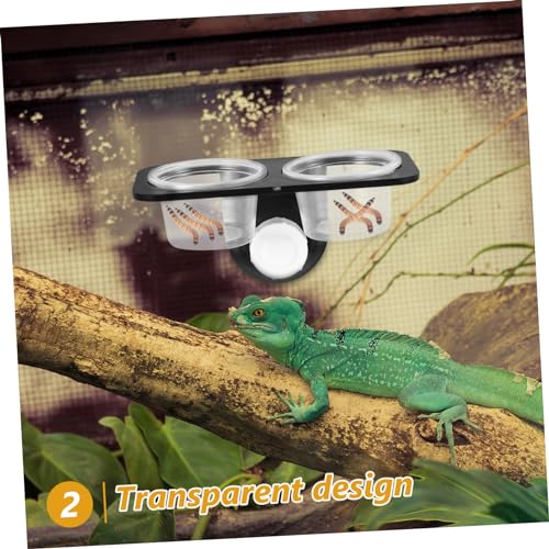 TEHAUX Reptile Food Bowl Water and Food Bowl Container Suction Cup Reptile Feeder for Lizards Turtles Geckos and Centipedes Wall-Mounted Terrarium 4.52 X 2.36 X 2.16 in - size: Size 2