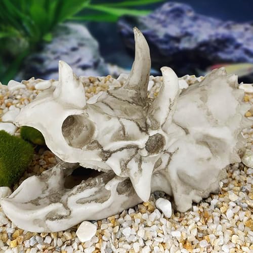 6 Inch Realistic Dinosaur Skull Aquarium Decor - Triceratops Resin Decor with Hideout Holes for Fish Tanks, Reptile Terrariums & Aquatic Habitats, Safe Underwater & Dry Habitat Ornament (A)