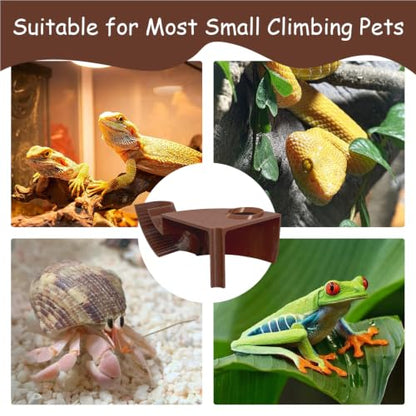 Reptile Hide with Viewing Window – Corner Underground Cave Observation Hideout for Hermit Crab, Leopard Gecko & Bearded Dragon – Reptile Habitat Tank Decor