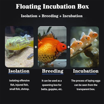 WEAVERBIRD Aquarium Breeder Box, Fish Breeding Box, Acrylic Breeder Isolation Divider Hatching Boxes, Floating Incubation Box, Round Isolation Hatchery Feeding Boxes for Small Fish Fry Hatchery - size: Round