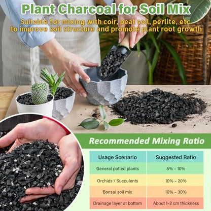 Legigo 10 LB Organic Leca Clay Pebbles & 2 QT Horticultural Charcoal, Natural Soil Amendment for Drainage, Aeration, and Healthy Indoor Plants, Orchids, Hydroponics & Terrariums