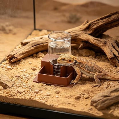 Tortoise Hydration Station - Automatic Lizard Water Feeder for Bearded Dragon with Wide Mouth Jar | Leak Proof ABS Hydration Station, Snake Tortoise Gecko Tank Indoor Backyard Accessory Large - size: L