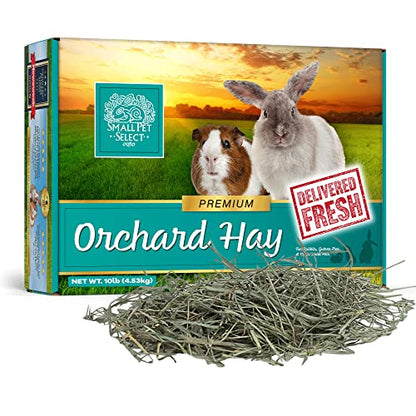 Small Pet Select Orchard Grass Hay Pet Food for Rabbits, Guinea Pigs, Chinchillas and Other Small Animals, Premium Natural Hay Grown in the US, 10 LB - size: 10 Pound (Pack of 1)