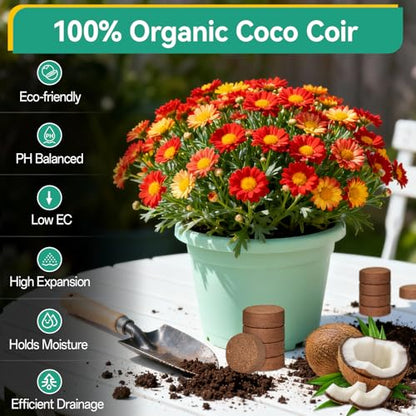 ZeeDix 100 Pcs (40mm) Compressed Coco Coir Fiber Potting Soil Seed Starters - Organic Coco Coir Pellet Fiber Soil for Planting Bonsai, Herbs, Plants, Flowers and Vegetables - size: 40mm