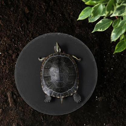 Reptile Basking Platform 5.9x5.9 inch Natural Rock Food Bowl Dish Tortoise Habitat Accessories Habitat Decor for Lizard Crested Gecko Bearded Dragon Turtle Reptiles Tank