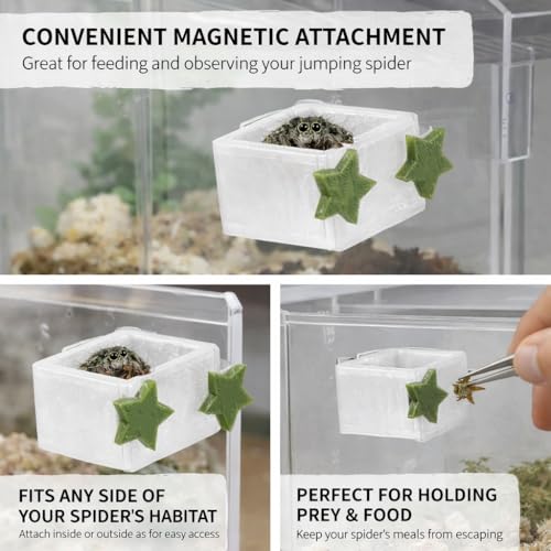 3 Pcs Magnetic Jumping Spider Feeding Dish Jumping Spider Enclosure Accessories Star-Shaped Design Reptile Water Bowl for Other Small Reptiles or Insects (Transparent + Army Green) - color: Transparent + Army Green
