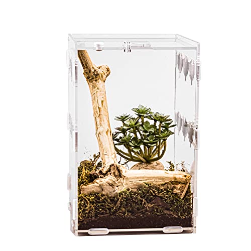 6" x 6" x 9" Acrylic Large Terrarium Enclosure for Small Reptiles, Amphibians, Spiders, Tarantula, Gecko, Snail, Praying Mantis, Millipede, Centipede, Isopods (Arboreal)