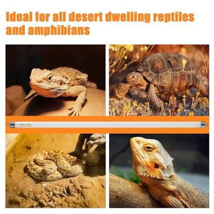 Celiwace T5 10.0 UVB Reptile Light Bulb 22 inch, Desert Reptile UVB Bulb 24W, for Lizards, Bearded Dragons, Chameleons