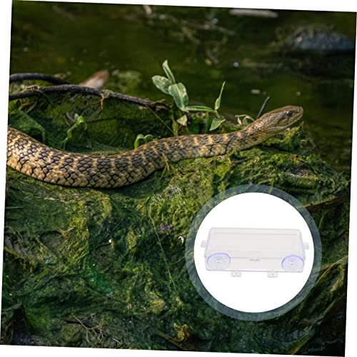 BESPORTBLE 1pc Suction Cup Reptile Feeder Dish Acrylic Food and Water Bowl for Tortoises Lizards and Pets Easy to Clean Feeding Basin for Reptiles