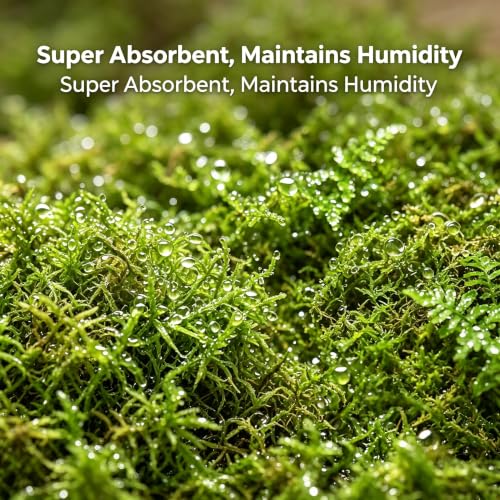 2026 New Sphagnum Moss for Reptiles - Terrarium Reptiles Moss Green Dried Peat Moss Habitat Bedding Moss for Snakes Turtle Frog Gecko and Other Reptiles Substrate (5, Ounces)