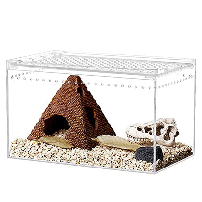 NANEEZOO Magnetic Acrylic Enclosure 10x6x6 Inch Tall Long Case Reptile Habitat Terrarium cage for Terrestrial Arboreal Tarantula Scorpion Sling Isopods Lizards Invertebrates Insect Mantis