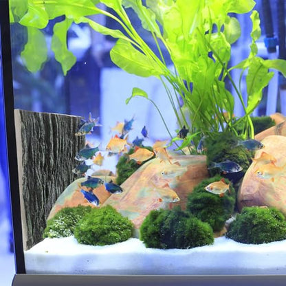 BESTYASH 3D Fish Tank Background Panel Vertical Texture, Turtle Tank Landscaping Board for Aquarium Decor and Terrarium, Blue Decorative Backdrop for Cichlid and Reptile Habitats