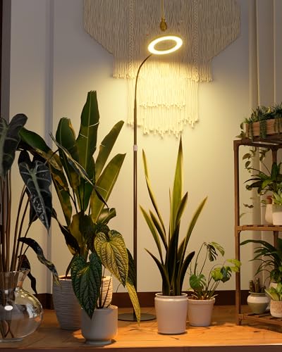 Bamworld Grow Lights for Indoor Plants, Full Spectrum Plant Lights for Indoor Growing, Floor Grow Lamp for Large Plants, Auto ON/Off Timer 3/9/12H, 10 Dimmable Levels, 37-65" Adjustable Height - color: Black, size: 1 Head