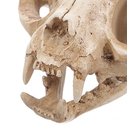 ABOOFAN Cat Skeleton Resin Model Fortune Cat Skull Figurine for Fish Tank Decoration Unique Handmade Aquarium Decor Safe for Fish for Collectibles and Teaching
