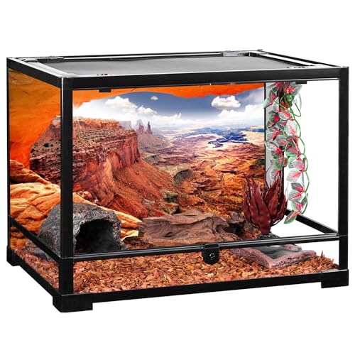 AWERT Stone Reptile Habitat Background Sky Oasis Mountain Cactus Sun and Desert Terrarium Background 30x12 inches Polyester Background - size: 30x12in/75x30cm