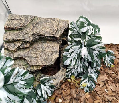 Resin Reptile Tank Accessories Reptile Hides and Caves Habitat Decor for Gecko Snake Frog Turtle Lizards (Large-B) - size: Large-B