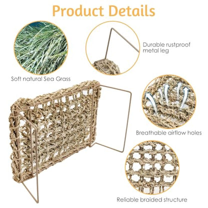 BNOSDM Reptile Cork Bark Substrate and Sea Grass Bed Mat for Lizard, Gecko