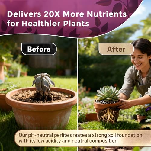 Professional Perlite for Plants 2.2 Quarts, Medium Grade Perlite Soil Additive for Indoor Outdoor Plants, Perlite for Gardening, Lightweight pH Neutral Soil Amendment, Made in USA - style: Perlite Soil Additive (2.2 Quarts)