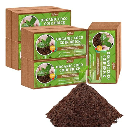 Riare 10pcs Organic Coco Coir Bricks Soil Blocks- 100% Natural Compressed Coco Peat Brick Coconut Fiber Substrate with Low EC& pH Balance, High Expansion Coco Coir Pith Coconut Husk for Garden - color: Pack of 10