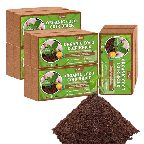 Riare 10pcs Organic Coco Coir Bricks Soil Blocks- 100% Natural Compressed Coco Peat Brick Coconut Fiber Substrate with Low EC& pH Balance, High Expansion Coco Coir Pith Coconut Husk for Garden - color: Pack of 10