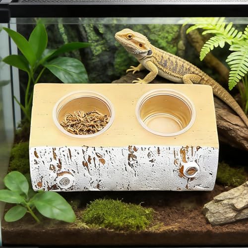 Gecko Feeding Ledge - Magnetic Feeder with 10 Feeding Cups - Reptile Water Bowls Feeder Ledge - for Pets Crabs Turtle Spider Bearded Dragon Frogs Centipede Small Animal