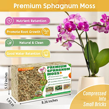 Legigo 10OZ Premium Sphagnum Moss for Plants 12QT Natural Long Fiber Moss Dried, Plant Moss for Orchid Repotting, Potted Plants, Succulents, Reptiles - color: 12 QT(Appx.10oz)