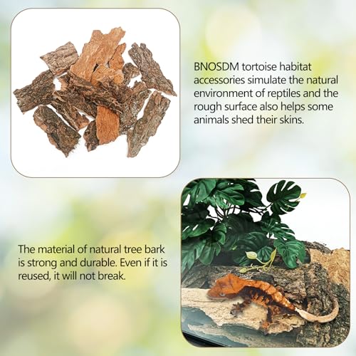 BNOSDM Reptile 16oz Cork Bark Substrate and Small Basking Rock Platform for Lizard, Gecko