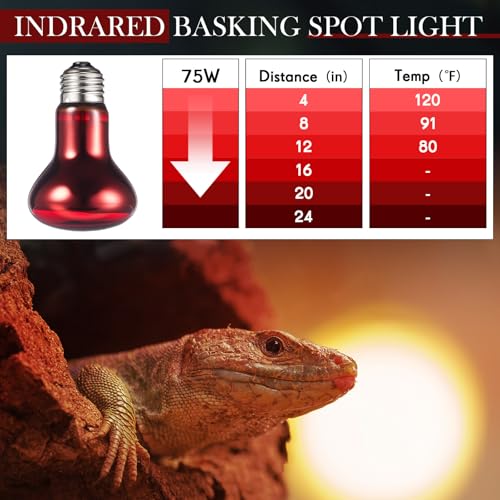 VIHOSE 6 Pack 100 W Reptile Heat Bulbs Red Heat Lamp Bulb Infrared Lamp Red Basking Light Bulbs for Reptiles, Bearded Dragon, Lizard, Tortoise, Chickens, Leopard Gecko, Amphibian, Pets - color: Infrared
