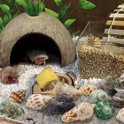 QUOZUO Hermit Crab Shells Natural Coconut Shell Hut Artificial Plants, 22 PCS Hermit Crab Supplies Seashells for House Hermit Crab Tank Habitat