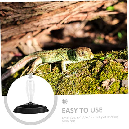 1Pc Creative Lizard Drinking Fountain Odorless Automatic Water Dispenser for Turtles Reptiles Capacity Stable Base Easy to Corner Design for Pet Supplies