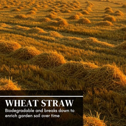 Premium Wheat Straw Growing Substrate – Clean, Dried & Chopped – Ideal for Mushroom Cultivation, Garden Mulch, Worm Bedding & Composting (4 Pounds) - size: 4 Pounds
