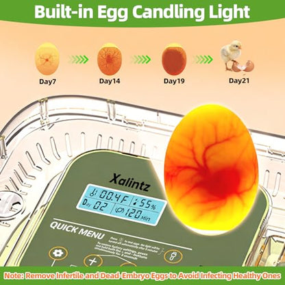 12 Egg Incubator for Hatching Eggs with Automatic Turning, Temperature & Humidity Display, Egg Candler, and Hatch Day Alert - Ideal for Chicken, Duck, and Quail Eggs