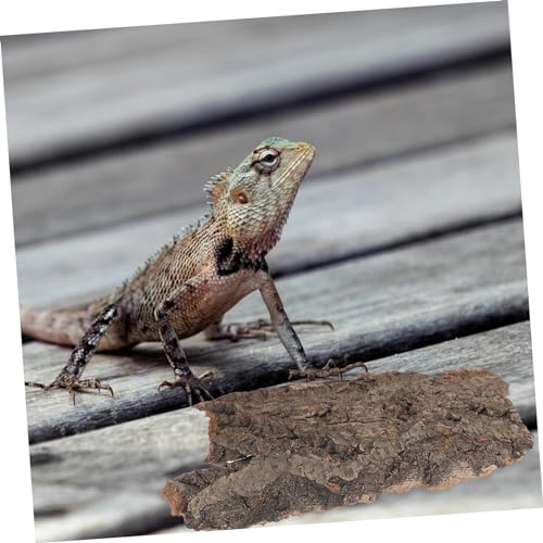 4pcs Reptile Tree Bark Decor for Terrarium Secure Climbing Platform Natural Design for Pets Sturdy and Stain Resistant Reptile Accessories