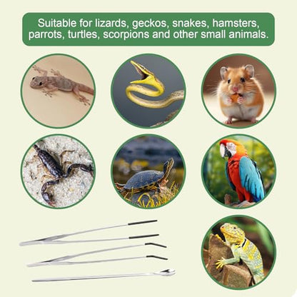 3Pcs Reptile Feeding Tool Set, 2 Tipped Tongs and 1 Feeding Spoon, Stainless Steel Crested Gecko Feeding Spoon for Geckos, Lizards, Bearded Dragons, Small Animals (Silver) - color: Feeding Set Silver