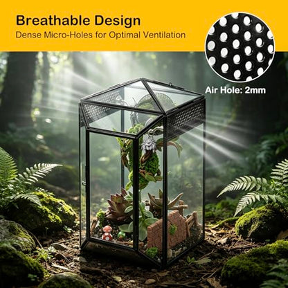 Glass Jumping Spider Enclosure Kit,Escape Proof Gothic Spider Tank | Fence Kits Terrarium Desktop Display Habitat for Jumping Spiders,Arboreal Tarantulas,Critter Keeper(No Plants)