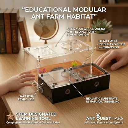 Terra Core Expandable Dual Chamber Formicarium Ant Nest with Starter Kit - size: Terra Core Series-Expandable Dual Chamber