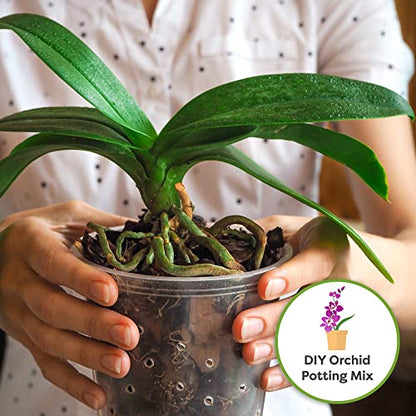 Perfect Plants Premium Orchid Bark 4qt. | Mulch Mix for Epiphytic Plants | Base for Orchid Potting Soil Substrate - size: 4qts.