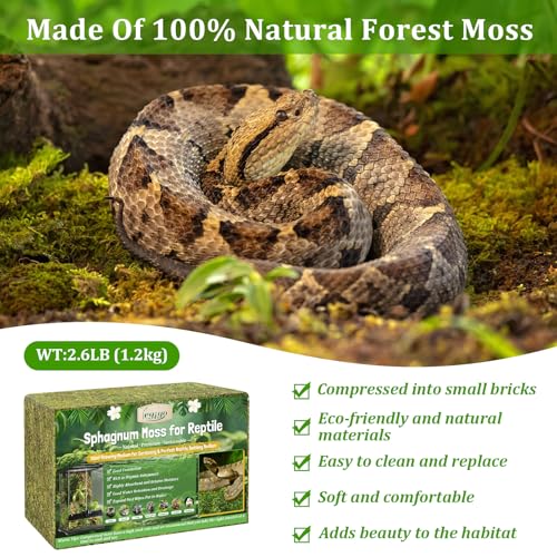 Legigo 2.6LB Sphagnum Moss for Reptile- 48QT Natural Reptile Moss Terrarium Moss Substrate, Snake Tank Moss Peat Moss Reptile Bedding for Snake, Gecko, Ball Python, Frog and Orchids Plants - size: 2.6LB