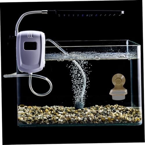 POPETPOP Reptile Feeding Cup Suction Cup Food and Water Dish for Tortoises Geckos and Lizards Easy Clean Spacious Design Tip Function for Terrarium Use