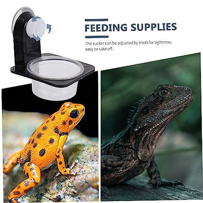 BESPORTBLE Reptile Feeder Lizard Food Bowl Reptile Water Basin Snake Water Bowl Easy Cleaning - size: 7.8X8.5X6.7CM