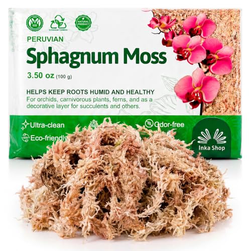 Long Fiber Sphagnum Moss for Indoor Plants Peruvian Orchid Moss Ultra Clean Odor Free Fast Expanding Moisture Retention Airy Drainage for Aroids Carnivorous Plants Terrarium Reptile Bedding (3.5oz) - size: 3.5oz