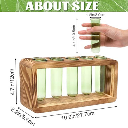Glass Plant Propagation Station with 5 Test Tubes Colorful Planter Vase Birthday Gifts for Women in Wooden Stand - color: Green