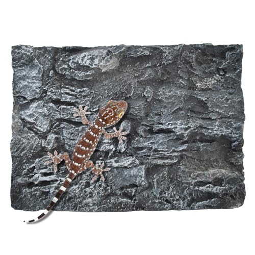 Reptile Tank Background Board Rock Terrarium Cork Background Board 3D Wall Backdrop Aquarium DéCor Backgrounds Amphibian Habitat Decoration for Lizards Leopard Gecko Bearded Dragons Turtle - color: Grey