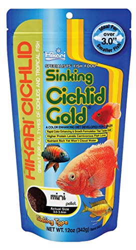 Hikari 12-Ounce Sinking Cichlid Gold Pellets for Pets, Mini - color: Multi-colored, size: 12 Ounce (Pack of 1)