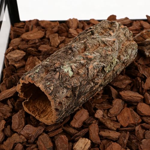 Reptile Hide: Hollow Cork Bark Log for Terrarium Bearded Dragon or Gecko Tank Accessories - Natural Looking Basking Hideout for Lizard Snake Axolotl 9x4x3.5