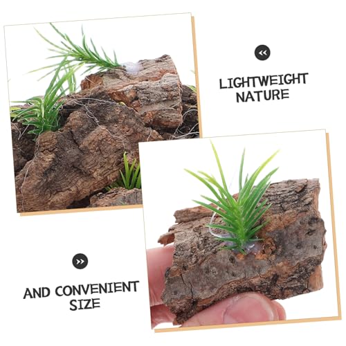 LIOOBO 20pcs Natural Cork Bark Terrarium Background for Reptiles Real Tree Bark Platform for Climbing and Hiding Aquarium Decor for Lizards Snakes Turtles Easy Maintenance Small Terrarium