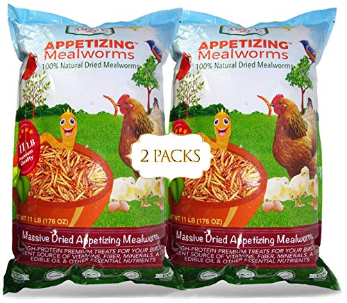 Amzey Appetizing Mealworms 22lbs-100% Non-GMO Dried Mealworms - High-Protein Meal Worm Treats -Perfect for Your Chickens,Ducks,Wild Birds,Turtles,Hamsters,Fish - size: 11 Pound (Pack of 2)