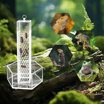 Hookable Bearded Dragon Feeder, Chameleon Feeding Bowl, Hanging Transparent Acrylic Reptile Feeder with Column for Insects to Climb, Tank Aquarium Accessories for Lizard Lguana Gecko Toad Frog - color: Transparent