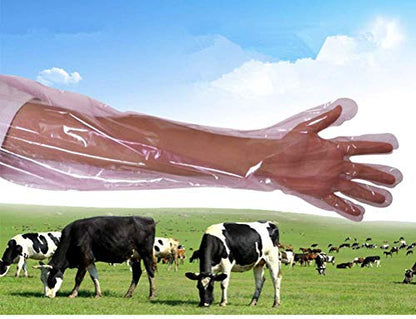 50 Pcs Insemination Long Gloves Disposable Plastic Film Gloves, Veterinary Insemination Rectal Long Gloves 35 inch Long for Livestock Gastrointestinal Examination